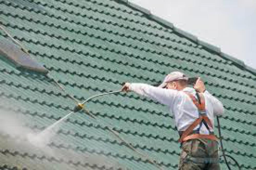 Nettoyage et démoussage de toiture 91 - Capello